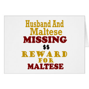 Maltese & Husband Missing Reward For Maltese