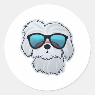 Maltese in Cool Sunglasses Classic T-Shirt Round Sticker