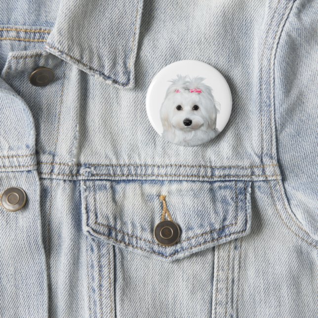 Maltese in White Adorable Puppy Wonder 6 Cm Round Badge (In Situ)