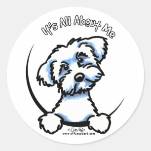 Maltese Its All About Me Classic Round Sticker