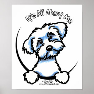 Maltese Its All About Me Poster