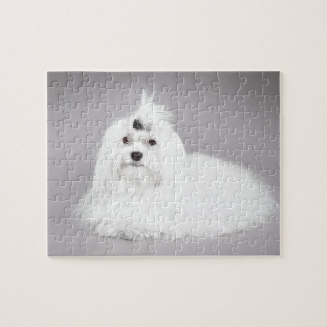 Maltese Jigsaw Puzzle (Horizontal)