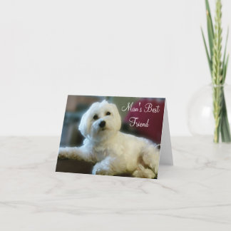 Maltese Lover Note Cards