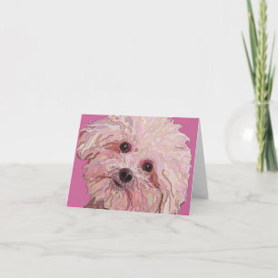 Maltese 'Meadow' Greeting Cards