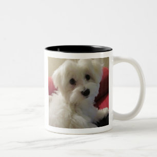 Maltese Mug - Easy to Personalise!