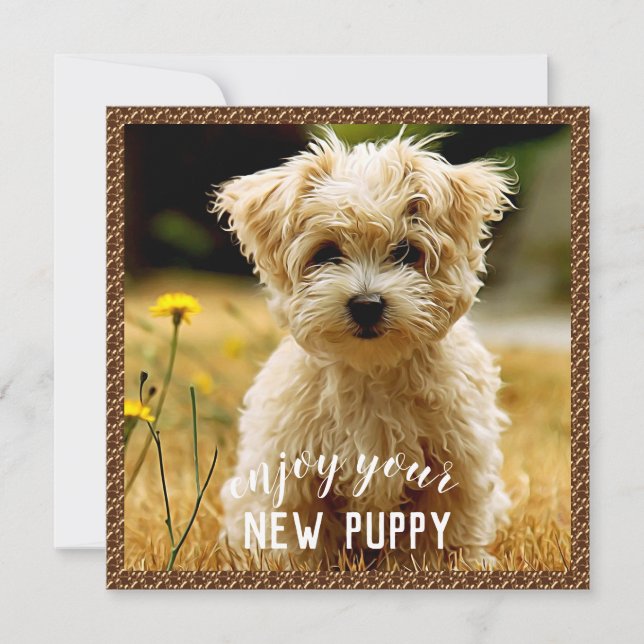 Maltese New Puppy Card (Front)