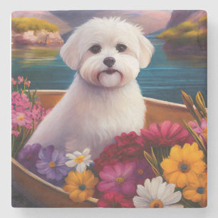 Maltese on a Paddle: A Scenic Adventure Stone Coaster