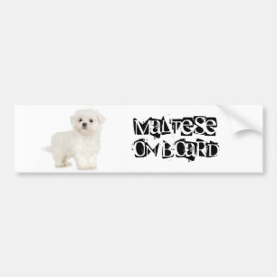 Maltese on Board Bumper Sticker