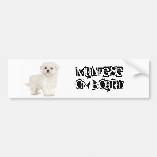 Maltese on Board Bumper Sticker (Front)