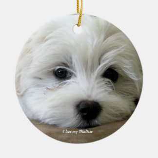 Maltese Ornament