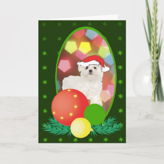 Maltese Ornaments Holiday Card