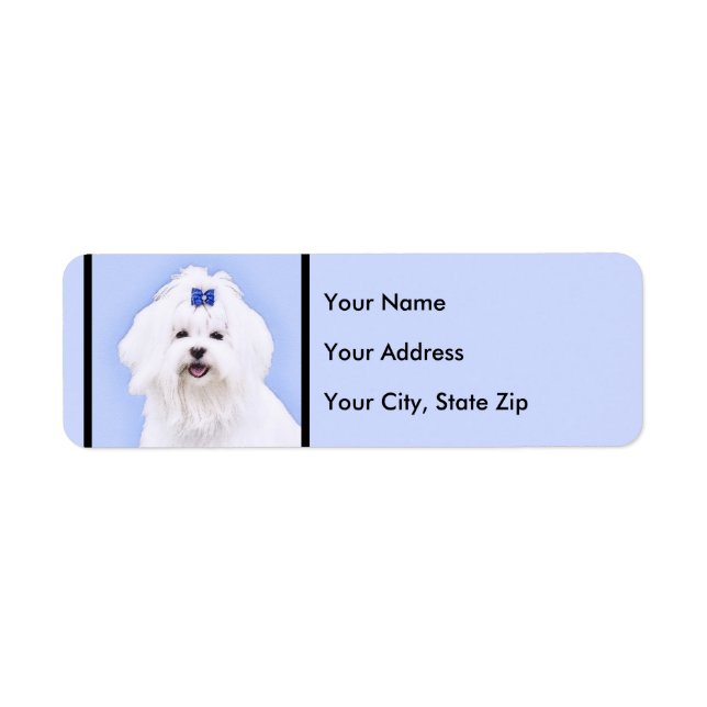 Maltese Painting - Cute Original Dog Art (Front)