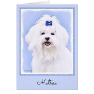 Maltese Painting - Cute Original Dog Art