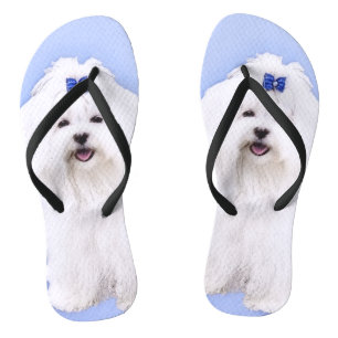 Maltese Painting - Cute Original Dog Art Flip Flops