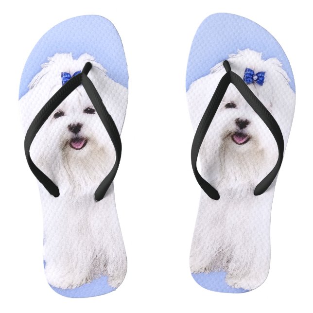 Maltese Painting - Cute Original Dog Art Flip Flops (Footbed)