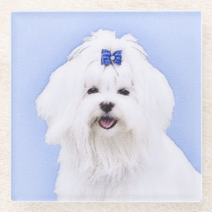 Maltese Painting - Cute Original Dog Art Glass Coaster
