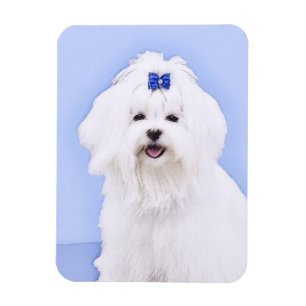 Maltese Painting - Cute Original Dog Art Magnet
