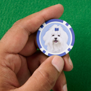 Maltese Painting - Cute Original Dog Art Poker Chips