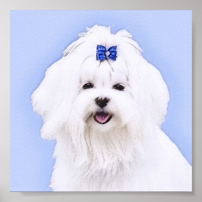 Maltese Painting - Cute Original Dog Art Poster (Front)