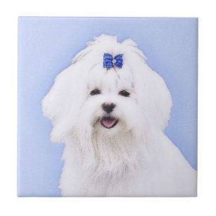Maltese Painting - Cute Original Dog Art Tile