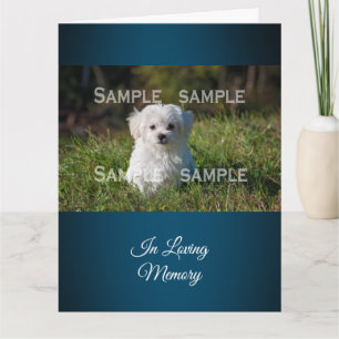 Maltese poodle in grass photo    Personalise Card