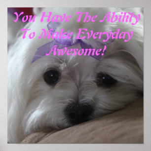Maltese Poster-Dog-Ability Poster