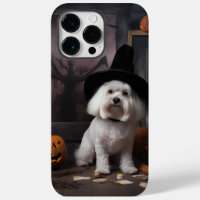 Maltese Pumpkins Halloween Scary