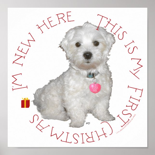Maltese Pup First Christmas Poster (Front)