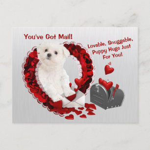 Maltese Pup You've Got Mail Puppy Hugs Valentine Holiday Postcard