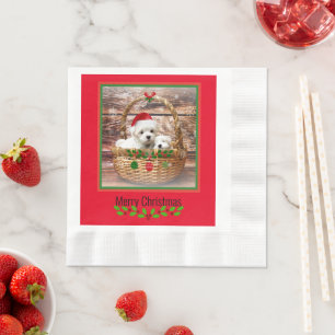 Maltese Puppies Christmas design Napkin