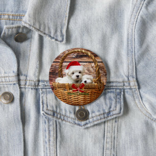 Maltese Puppies in a Christmas Basket 7.5 Cm Round Badge