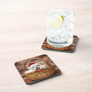 Maltese Puppies in a Christmas Basket Coaster