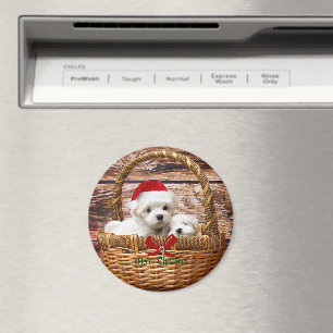 Maltese Puppies in a Christmas Basket Magnet