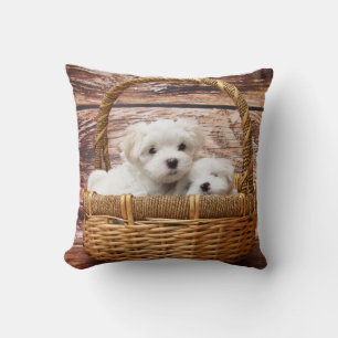 Maltese Puppies Pet Dog Throw Pillow Home Decor