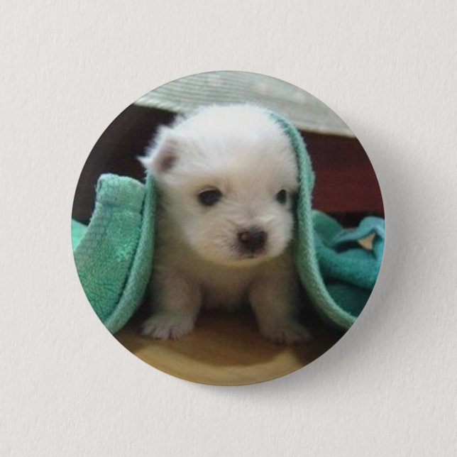 maltese puppy 6 cm round badge (Front)