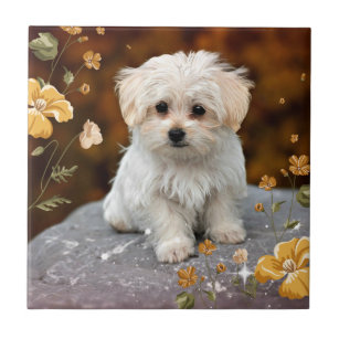 Maltese Puppy...adorable Tile