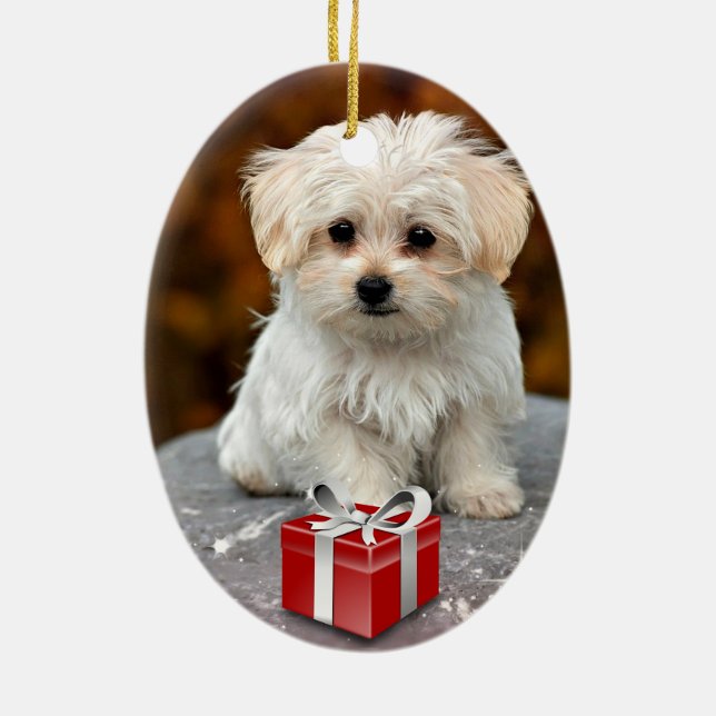 Maltese Puppy at Christmas Ceramic Tree Decoration (Back)