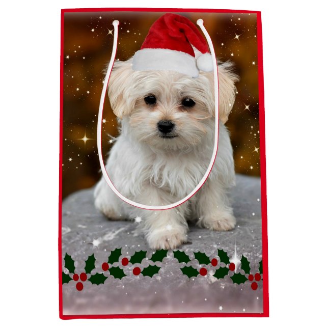 Maltese Puppy Christmas, adorable holiday design Medium Gift Bag (Front)