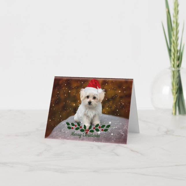 Maltese Puppy Christmas Card (Front)