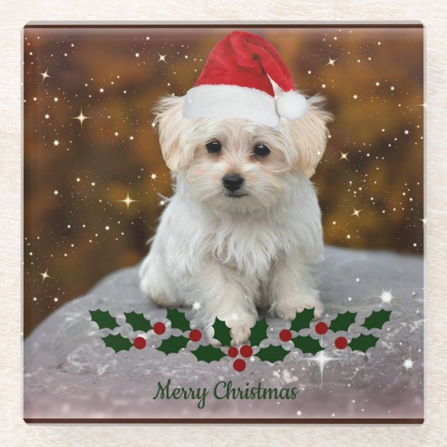 Maltese Puppy Christmas Glass Coaster (Front)