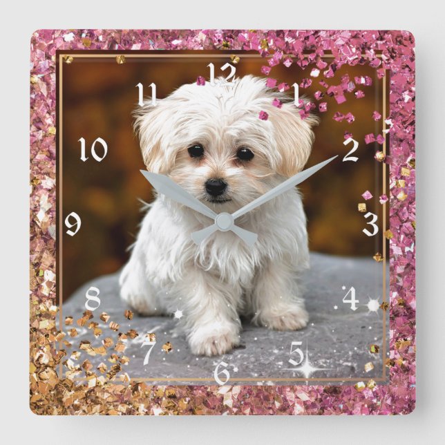 Maltese Puppy, Cute and Cuddly, Square Wall Clock (Front)