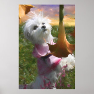 Maltese Puppy Dancer ”THE TRUMPET SONG" Poster