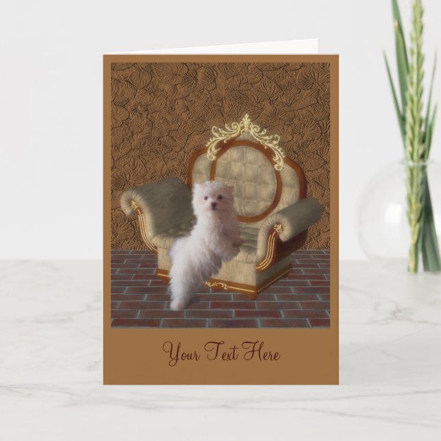 Maltese Puppy Dog Art Photo Card (Front)