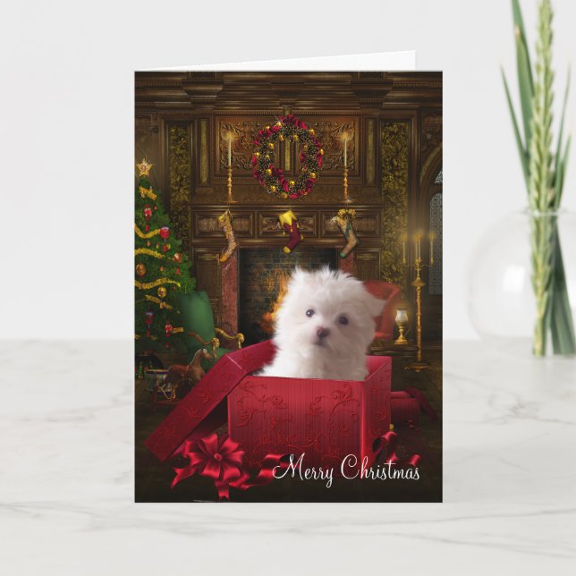 Maltese Puppy Dog Christmas Holiday Card (Front)