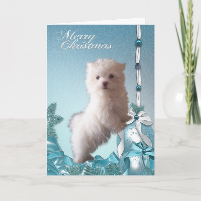 Maltese Puppy Dog Christmas Holiday Card (Front)