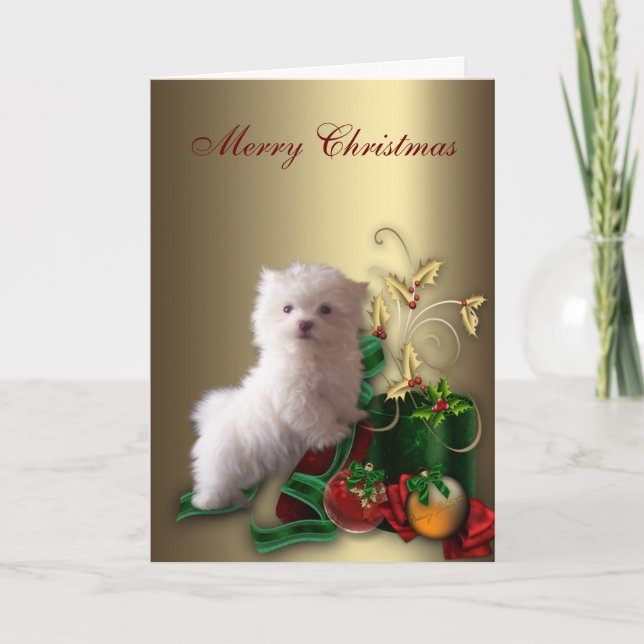Maltese Puppy Dog Christmas Holiday Card (Front)