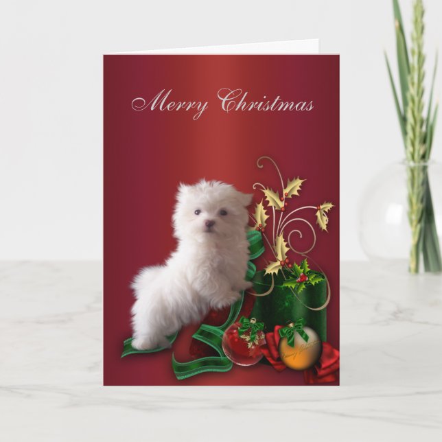 Maltese Puppy Dog Christmas Holiday Card (Front)