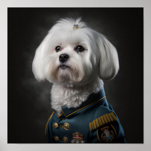 Maltese Puppy Dog Fancy Military Portrait Poster