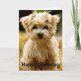 Maltese Puppy Happy Birthday Greeting Card