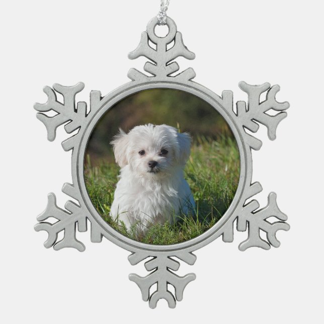 maltese puppy in grass snowflake pewter christmas ornament (Front)